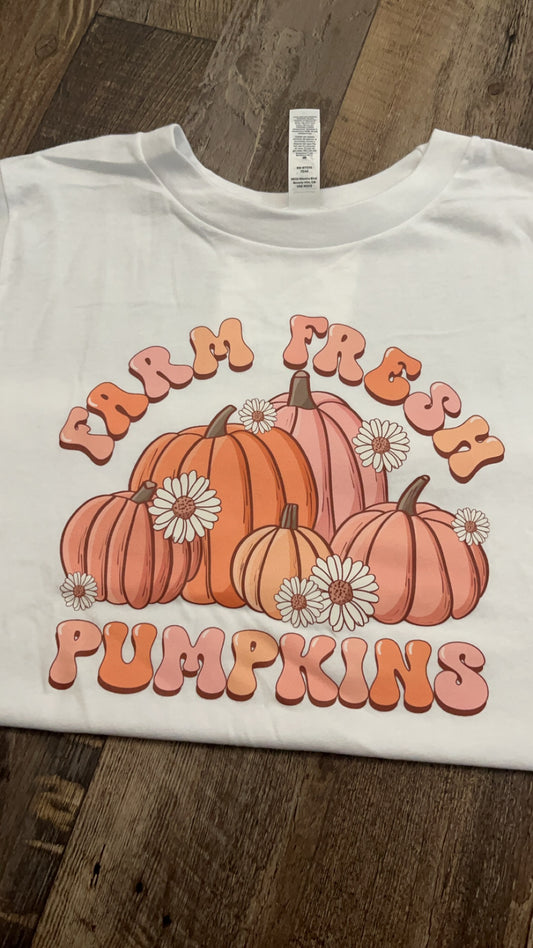 RTS Pink Farm Pumpkins